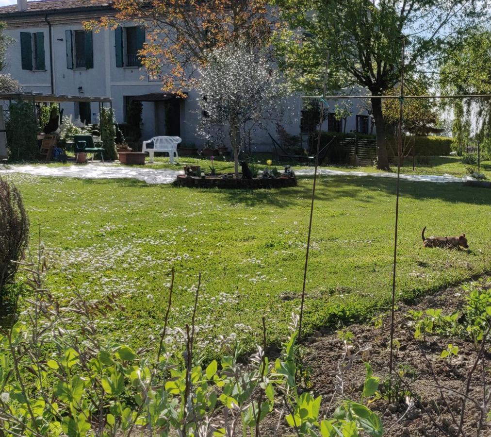 B&B Il Glicine Nascosto Cotignola Zewnętrze zdjęcie